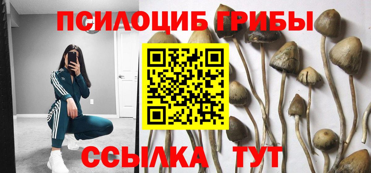 Сергиев Посад  Псилоцибиновые грибы мухоморы  Вход с VPN  Галлюциногенные грибы Cubensis 